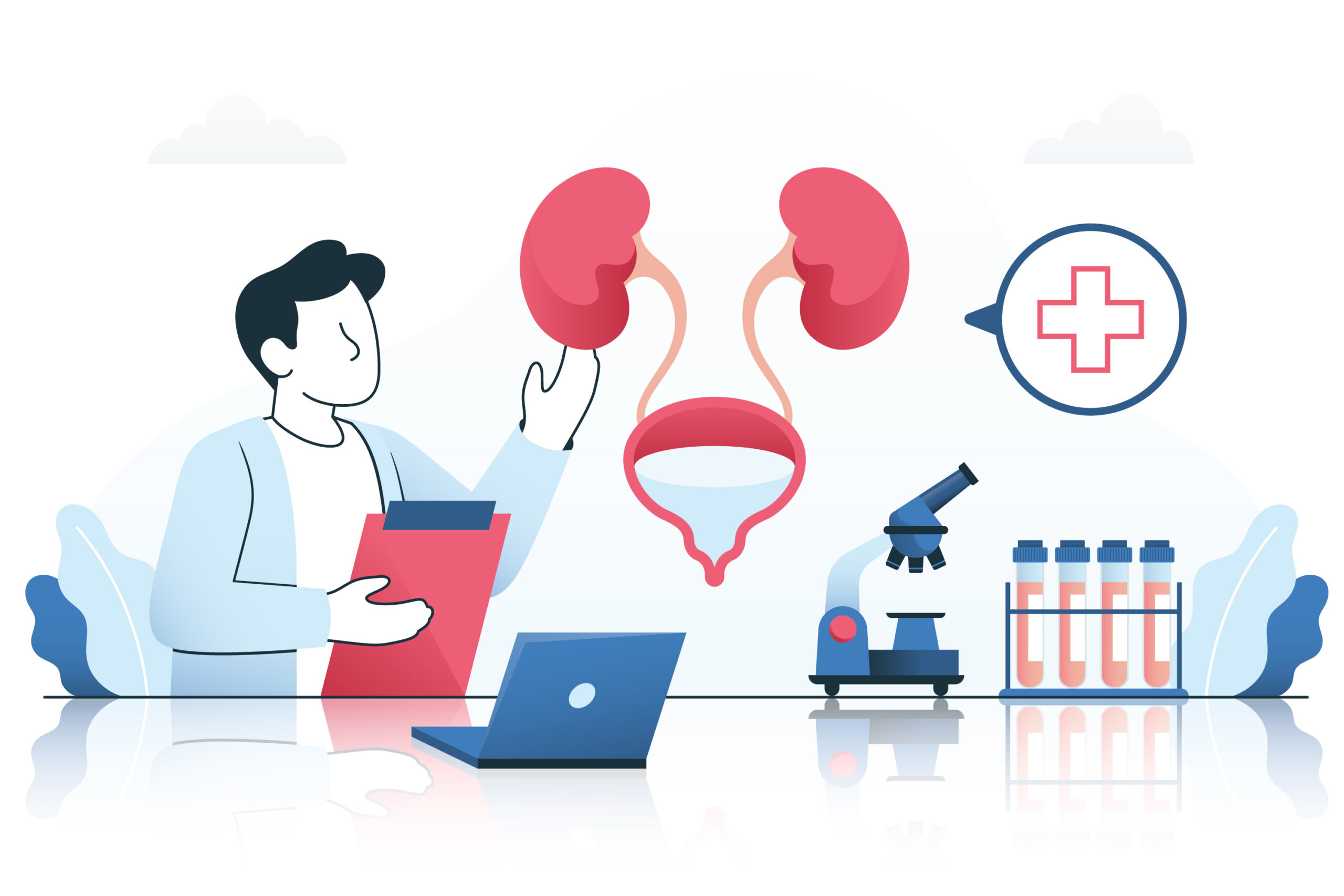 Does ashwagandha increase testes size?